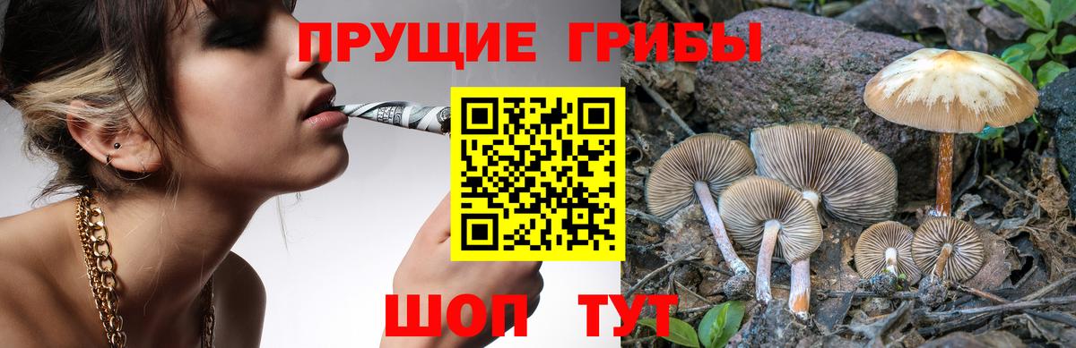 Псилоцибиновые грибы мухоморы Находка